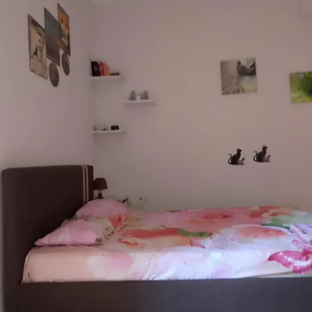 Apartment Lapithes Exarchia